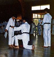 Karate10.jpg