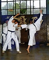 Karate29.jpg